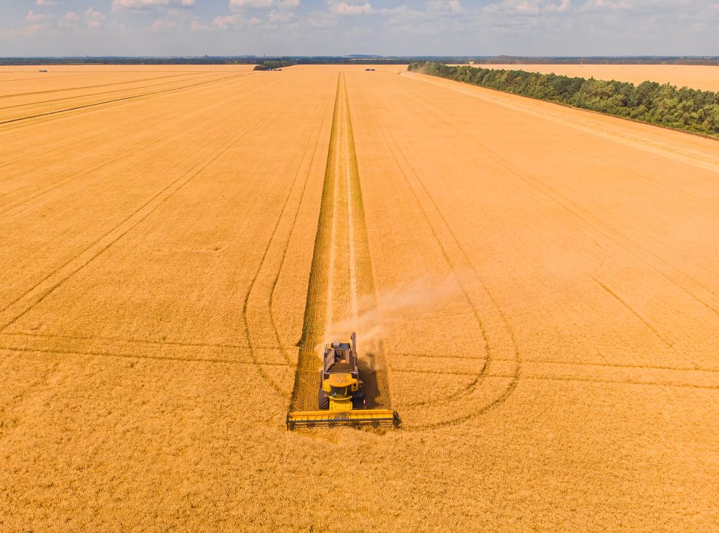Moisson — agriculture — illustration Axintra