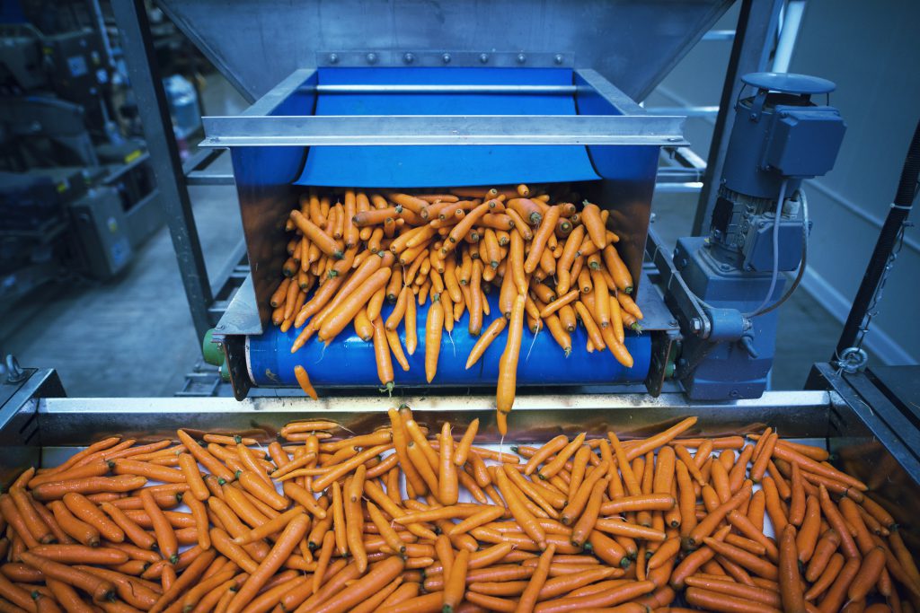 Lavage de légumes industriel — illustration Axintra